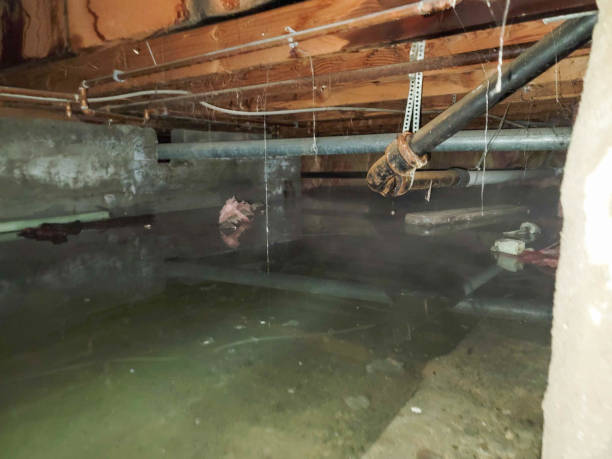Best Local water damage restoration  in Hoopa, CA