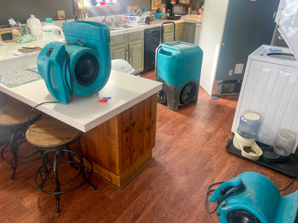Best Water damage restoration services  in Hoopa, CA