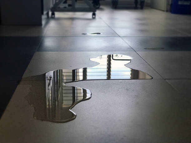 Carpet water damage restoration in CA