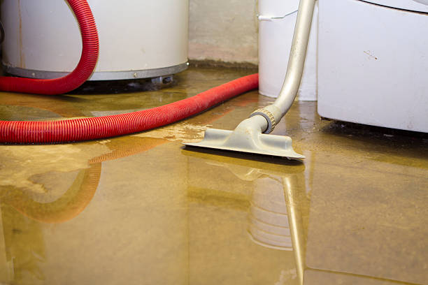 Best Ceiling water damage repair  in Hoopa, CA