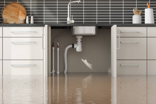  Hoopa, CA Water damage restoration Pros