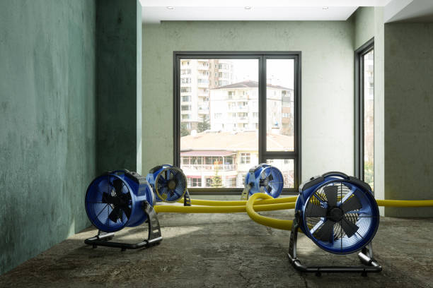 Best Water damage contractors near me  in Hoopa, CA