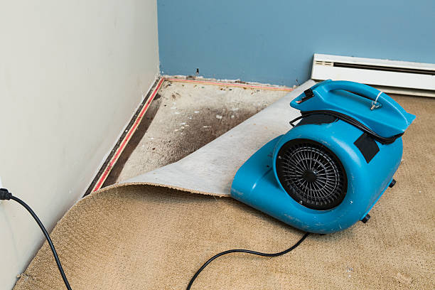Best Professional water damage repair  in Hoopa, CA